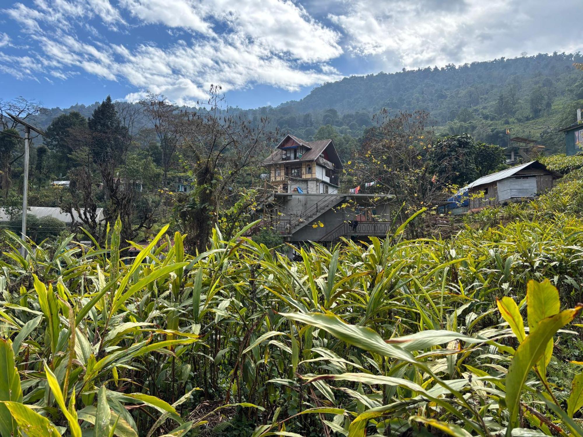 Odyssey'S Darap Eco Retreat Apartment Pelling Luaran gambar