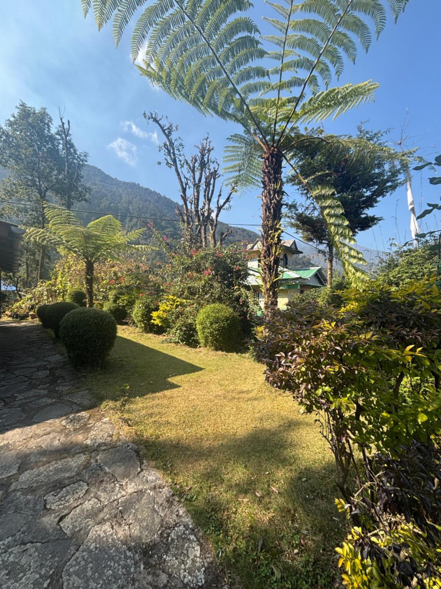 Odyssey'S Darap Eco Retreat Apartment Pelling Luaran gambar