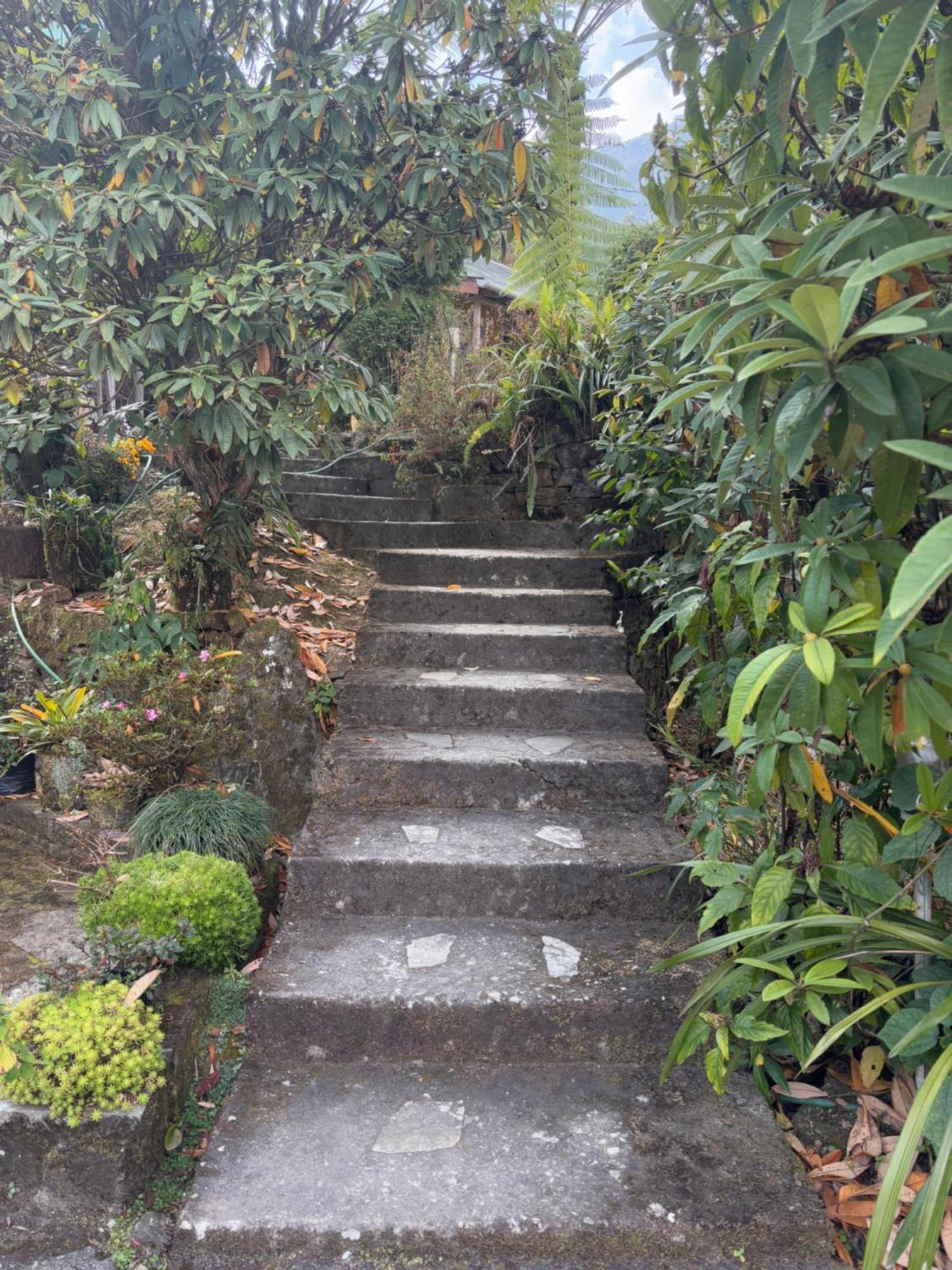 Odyssey'S Darap Eco Retreat Apartment Pelling Luaran gambar
